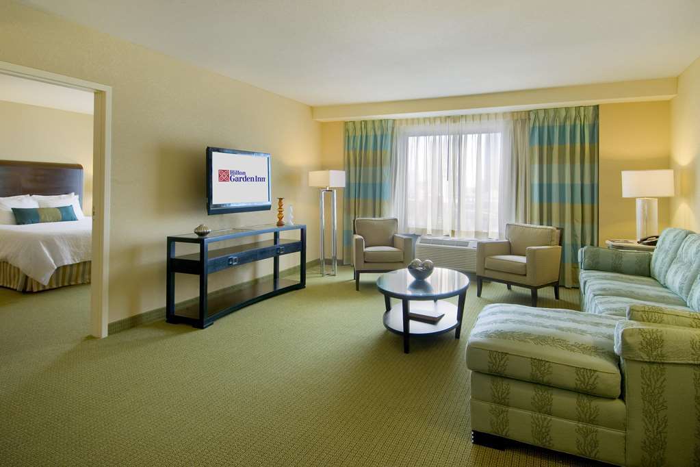 Hilton Garden Inn Atlanta Downtown Szoba fotó